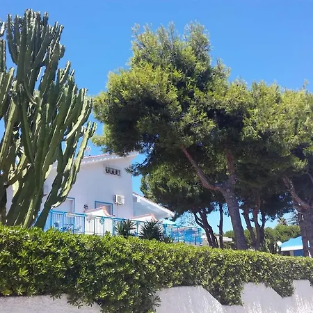 Nido Colorato B&B *